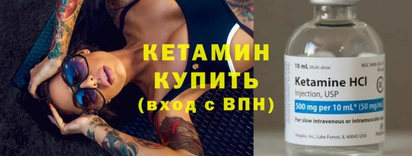гидра Абаза