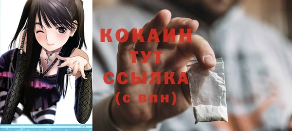 стаф Абинск