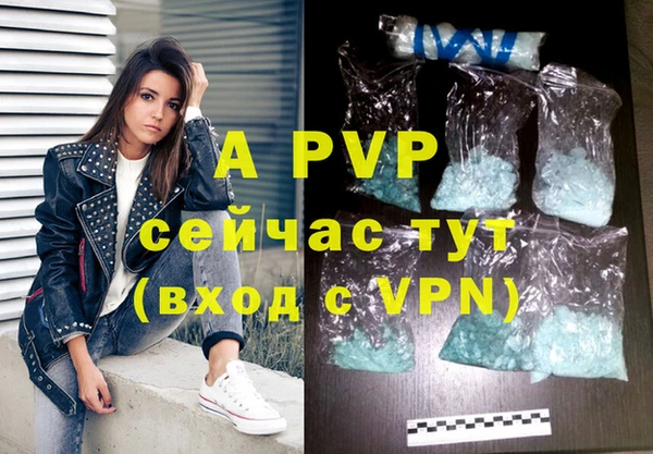 стаф Абинск