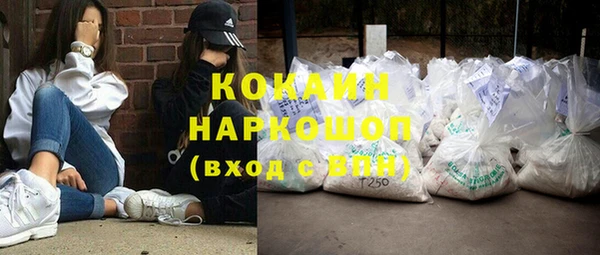 гидра Абаза