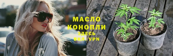 стаф Абинск