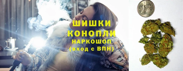 амф Осташков