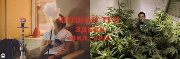 стаф Абинск